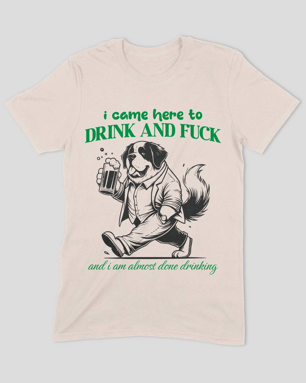 I Came Here to Drink & Fuck T-Shirt