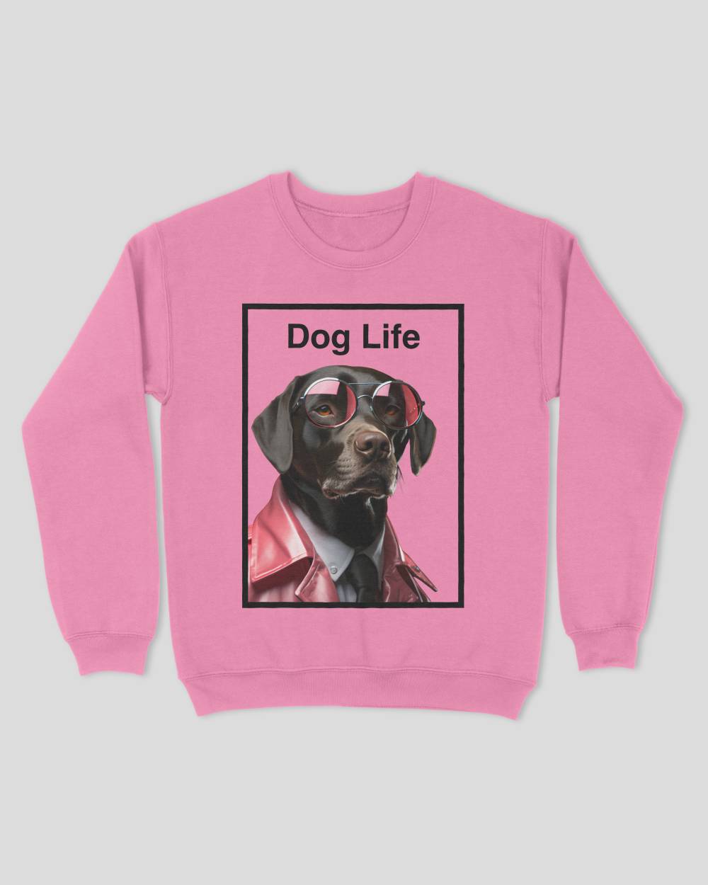 This is a Pawz & Clawz sweatshirt with a chocolate labrador wearing a Gucci-style suit and pink Rayban sunglasses.