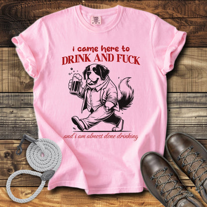 I Came Here to Drink & Fuck T-Shirt