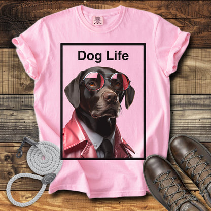 Dog Life Choclate Labrador