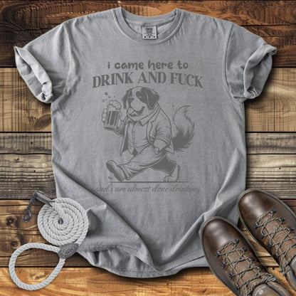 I Came Here to Drink & Fuck T-Shirt