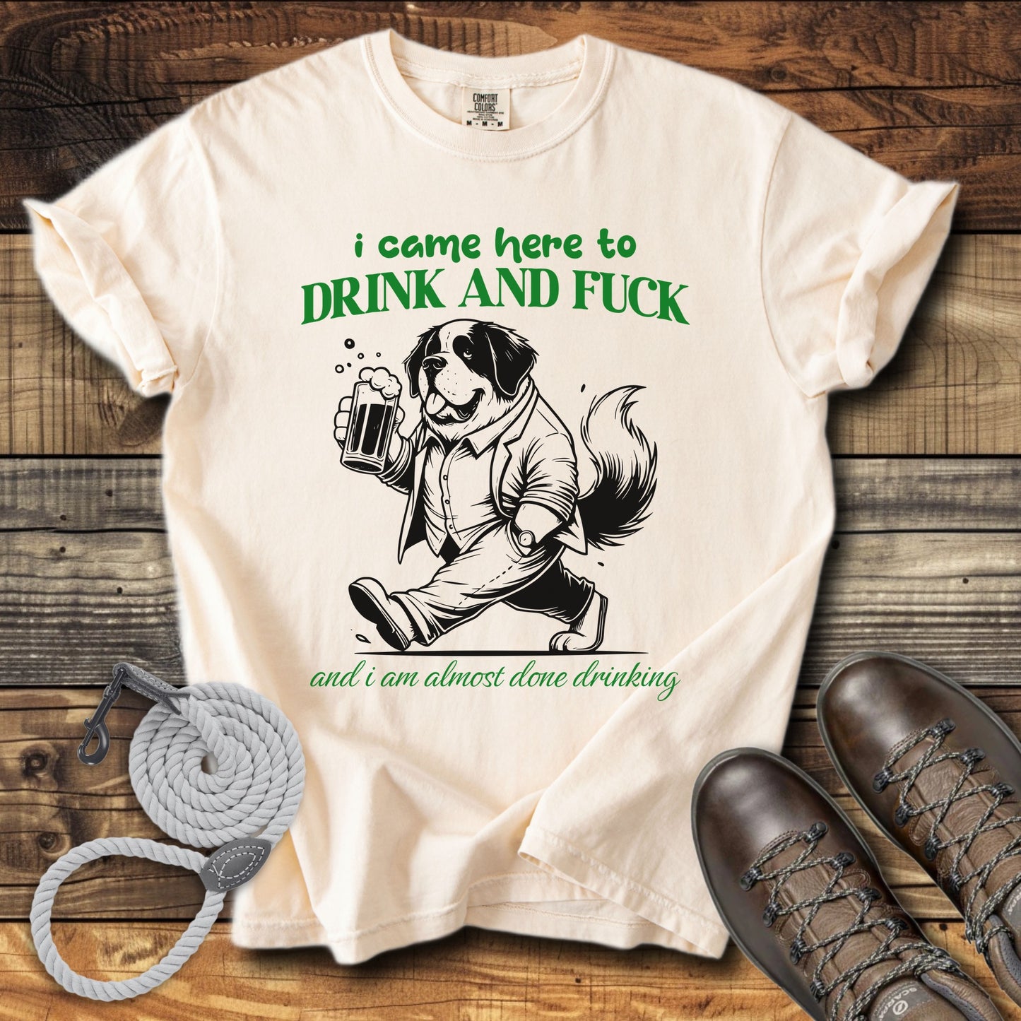 I Came Here to Drink & Fuck T-Shirt