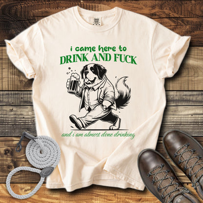 I Came Here to Drink & Fuck T-Shirt