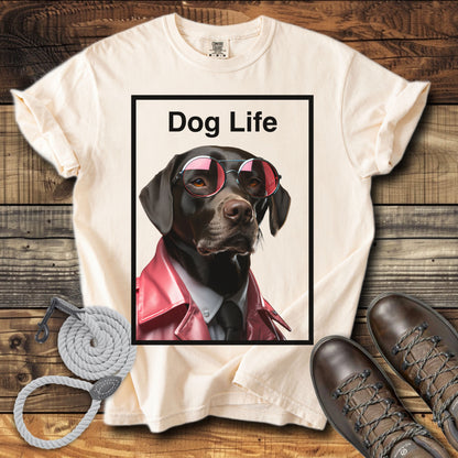 Dog Life Choclate Labrador
