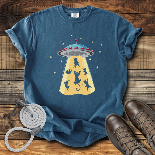 Beam Me Up Catty
