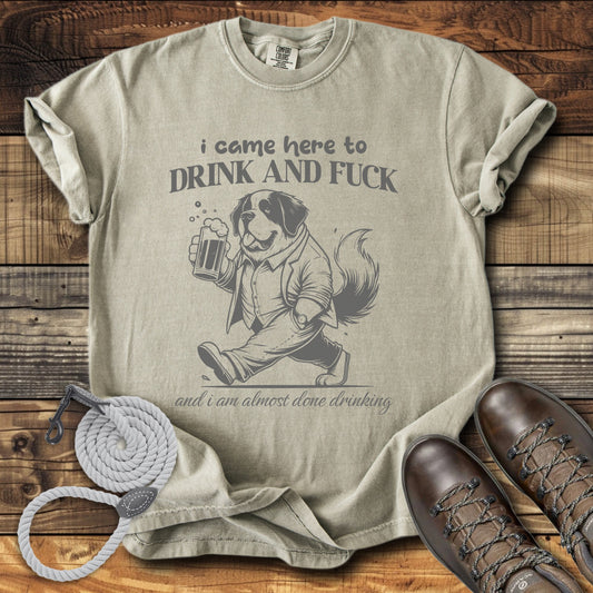 I Came Here to Drink & Fuck T-Shirt
