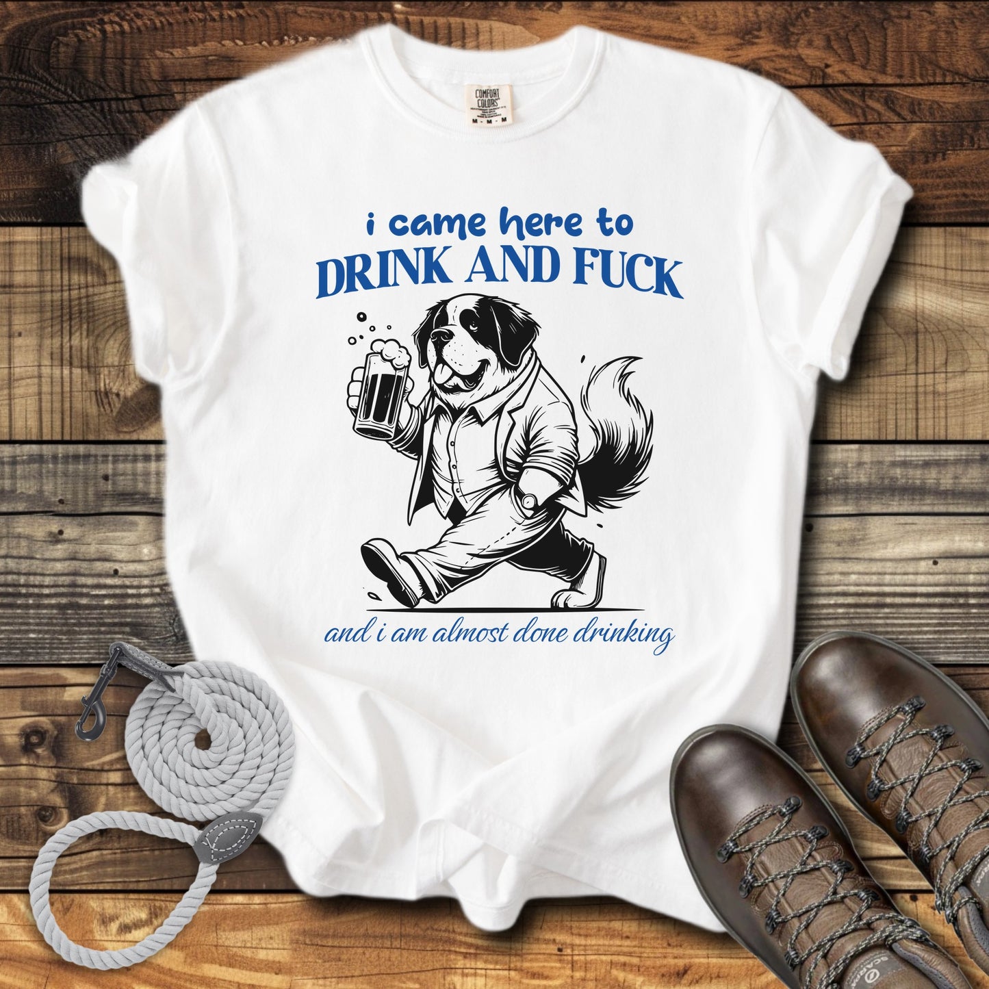 I Came Here to Drink & Fuck T-Shirt