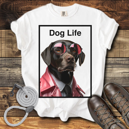 Dog Life Choclate Labrador